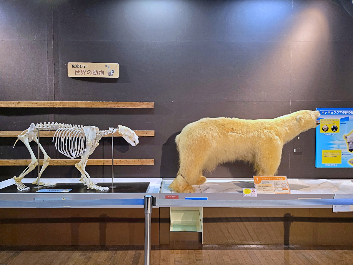 【仙台旅遊】八木山動物園仙台親子自由行必去城市裡最古老的動物園