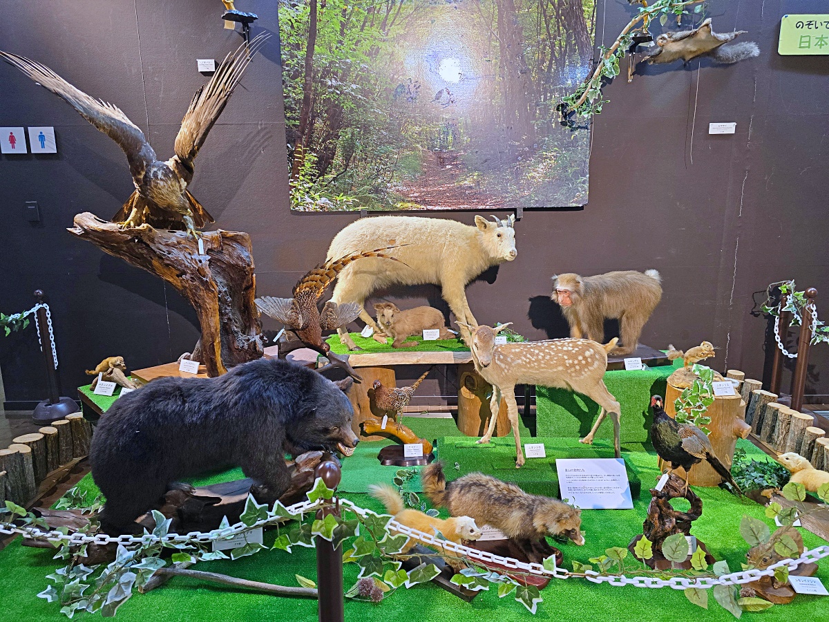 【仙台旅遊】八木山動物園仙台親子自由行必去城市裡最古老的動物園