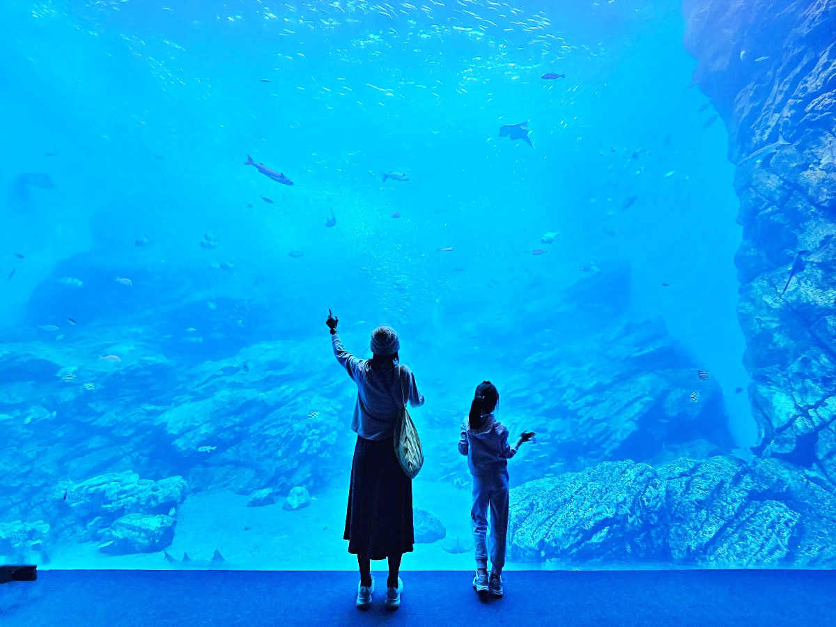 【仙台旅遊】仙台親子景點必去「仙台海洋之森水族館」東北最大水族世界的奇幻體驗
