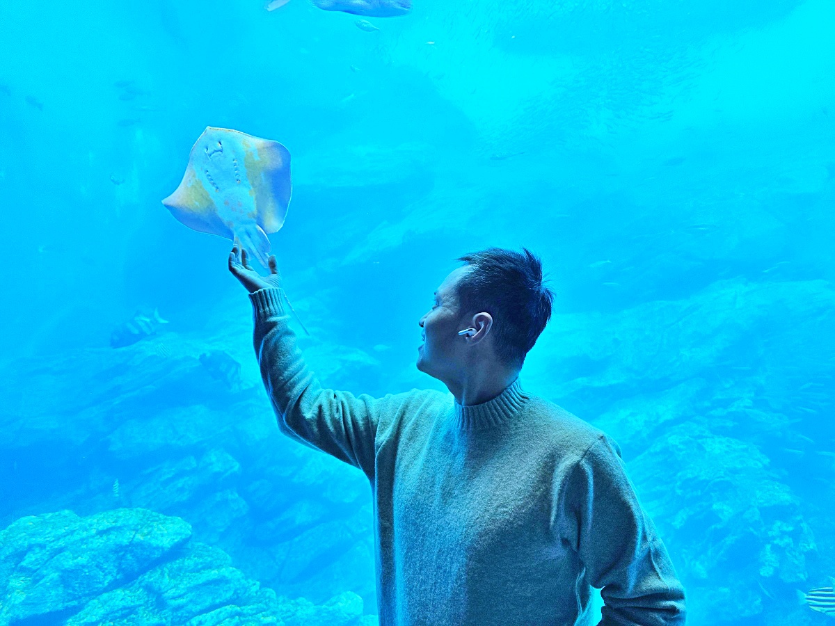 【仙台旅遊】仙台親子景點必去「仙台海洋之森水族館」東北最大水族世界的奇幻體驗