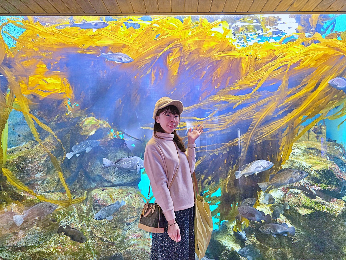 【仙台旅遊】仙台親子景點必去「仙台海洋之森水族館」東北最大水族世界的奇幻體驗 【仙台旅遊】仙台親子景點必去「仙台海洋之森水族館」東北最大水族世界的奇幻體驗