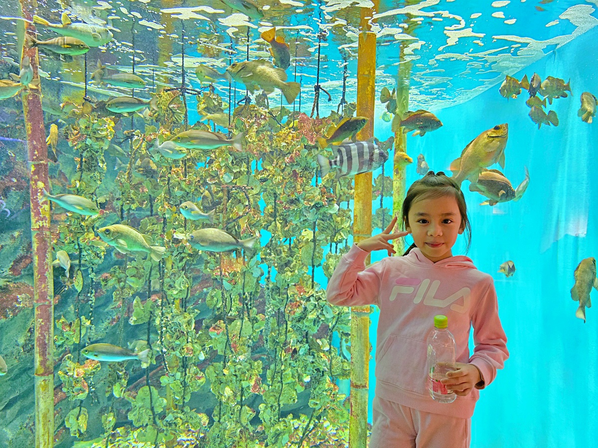 【仙台旅遊】仙台親子景點必去「仙台海洋之森水族館」東北最大水族世界的奇幻體驗