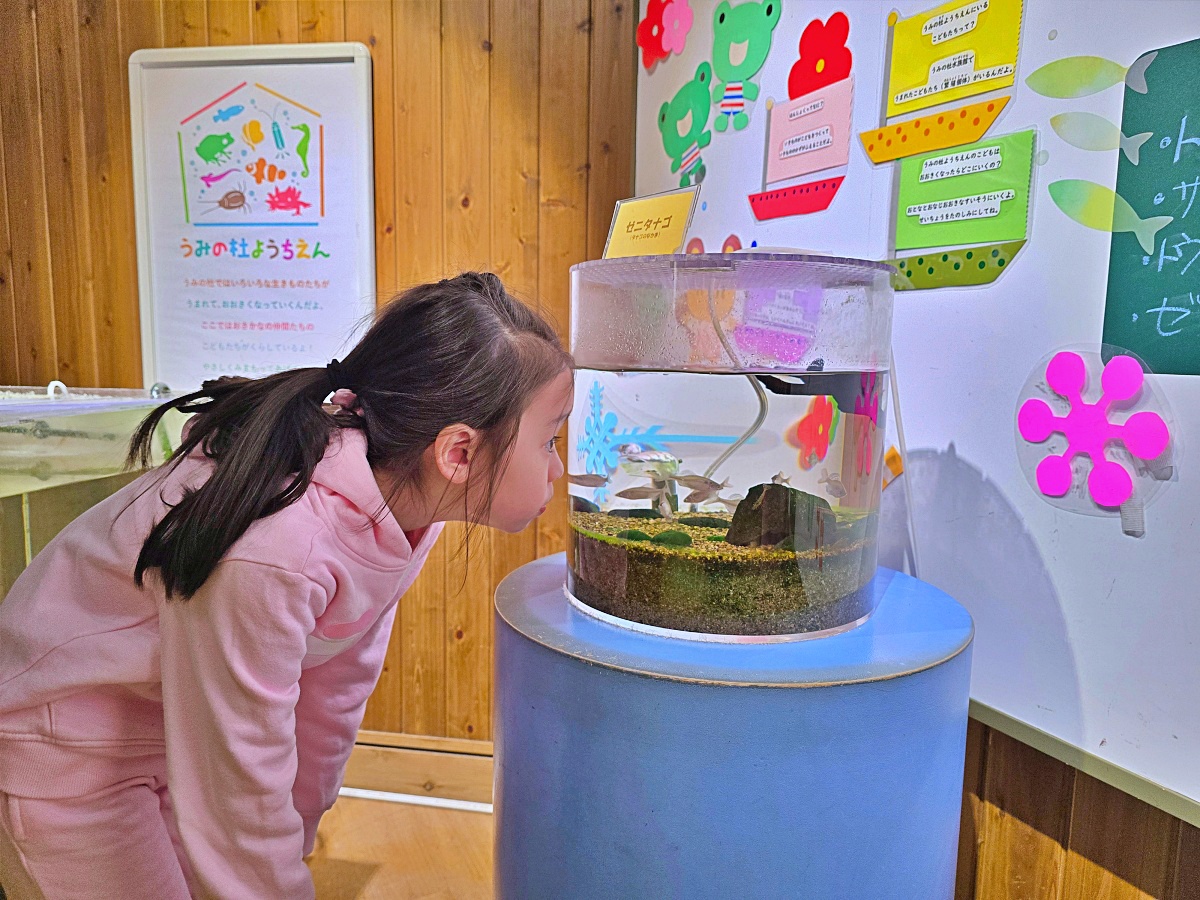 【仙台旅遊】仙台親子景點必去「仙台海洋之森水族館」東北最大水族世界的奇幻體驗
