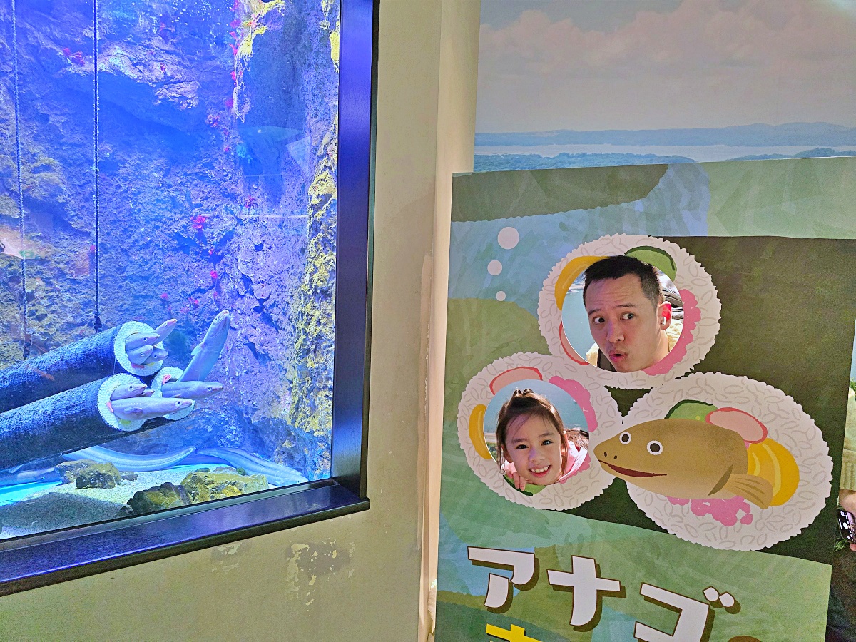 【仙台旅遊】仙台親子景點必去「仙台海洋之森水族館」東北最大水族世界的奇幻體驗