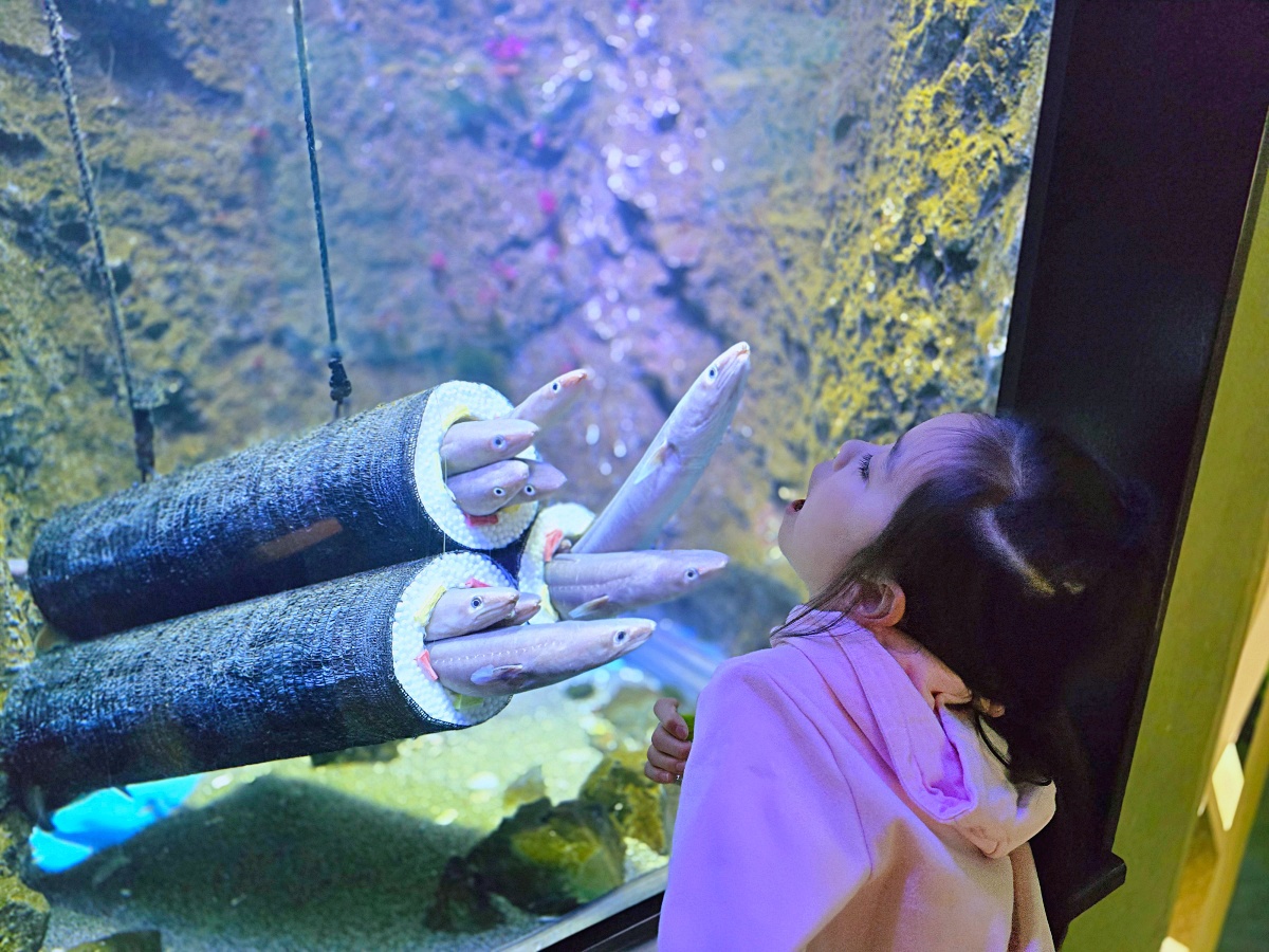 【仙台旅遊】仙台親子景點必去「仙台海洋之森水族館」東北最大水族世界的奇幻體驗