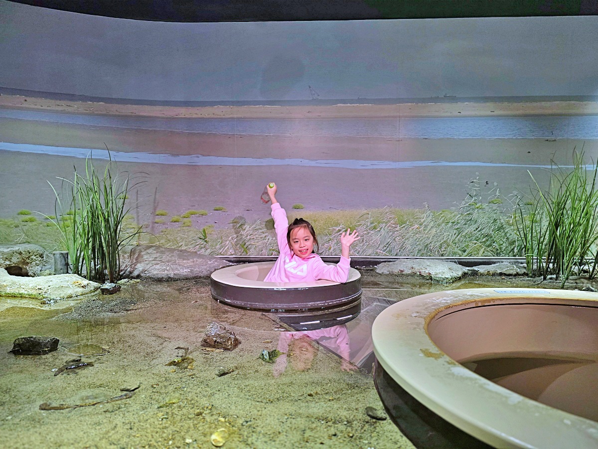 【仙台旅遊】仙台親子景點必去「仙台海洋之森水族館」東北最大水族世界的奇幻體驗 【仙台旅遊】仙台親子景點必去「仙台海洋之森水族館」東北最大水族世界的奇幻體驗