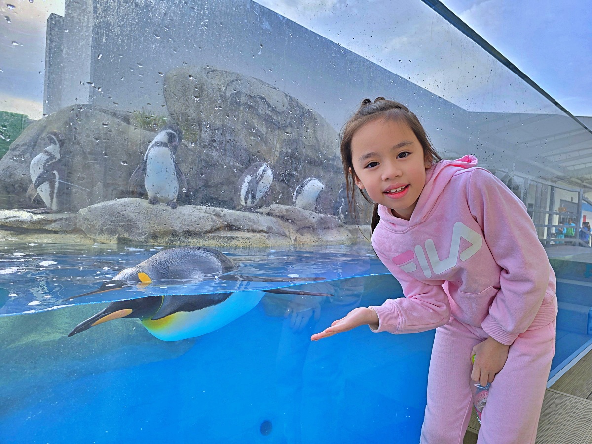 【仙台旅遊】仙台親子景點必去「仙台海洋之森水族館」東北最大水族世界的奇幻體驗 【仙台旅遊】仙台親子景點必去「仙台海洋之森水族館」東北最大水族世界的奇幻體驗