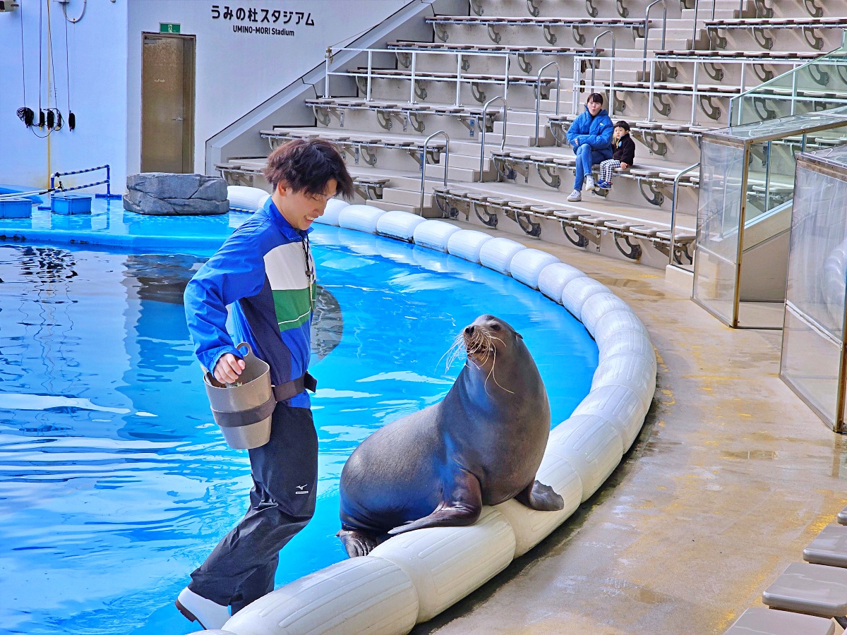 【仙台旅遊】仙台親子景點必去「仙台海洋之森水族館」東北最大水族世界的奇幻體驗