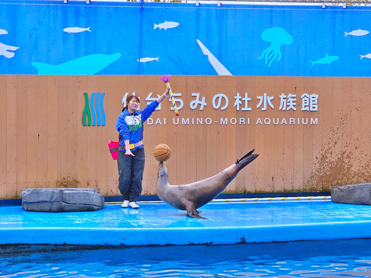 【仙台旅遊】仙台親子景點必去「仙台海洋之森水族館」東北最大水族世界的奇幻體驗