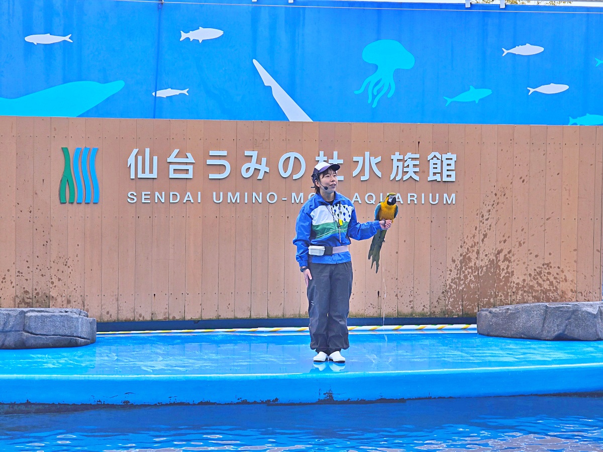 【仙台旅遊】仙台親子景點必去「仙台海洋之森水族館」東北最大水族世界的奇幻體驗 【仙台旅遊】仙台親子景點必去「仙台海洋之森水族館」東北最大水族世界的奇幻體驗