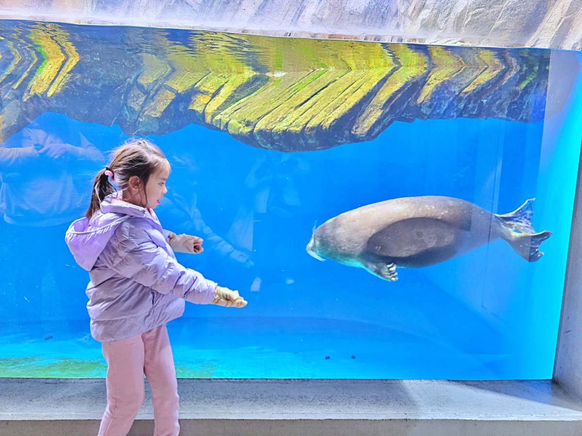【仙台旅遊】仙台親子景點必去「仙台海洋之森水族館」東北最大水族世界的奇幻體驗 【仙台旅遊】仙台親子景點必去「仙台海洋之森水族館」東北最大水族世界的奇幻體驗