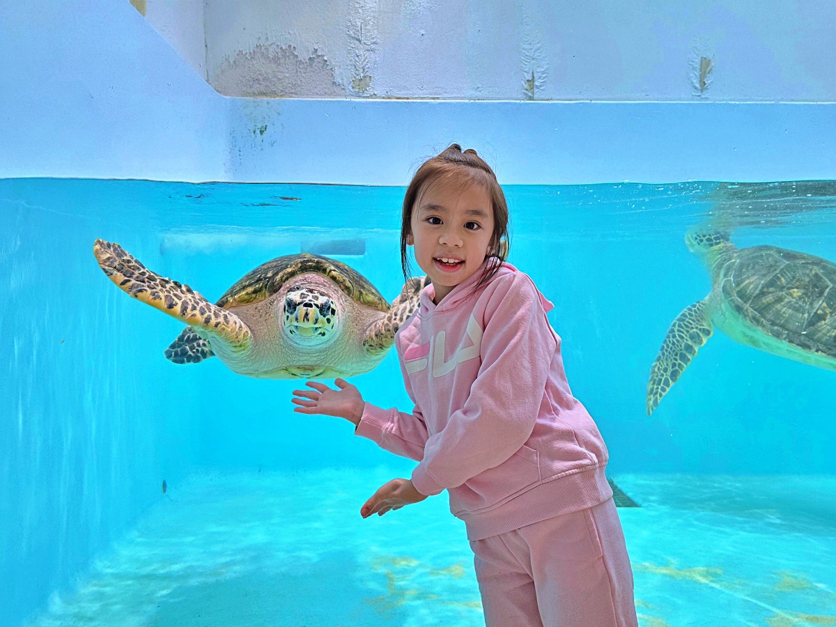 【仙台旅遊】仙台親子景點必去「仙台海洋之森水族館」東北最大水族世界的奇幻體驗 【仙台旅遊】仙台親子景點必去「仙台海洋之森水族館」東北最大水族世界的奇幻體驗