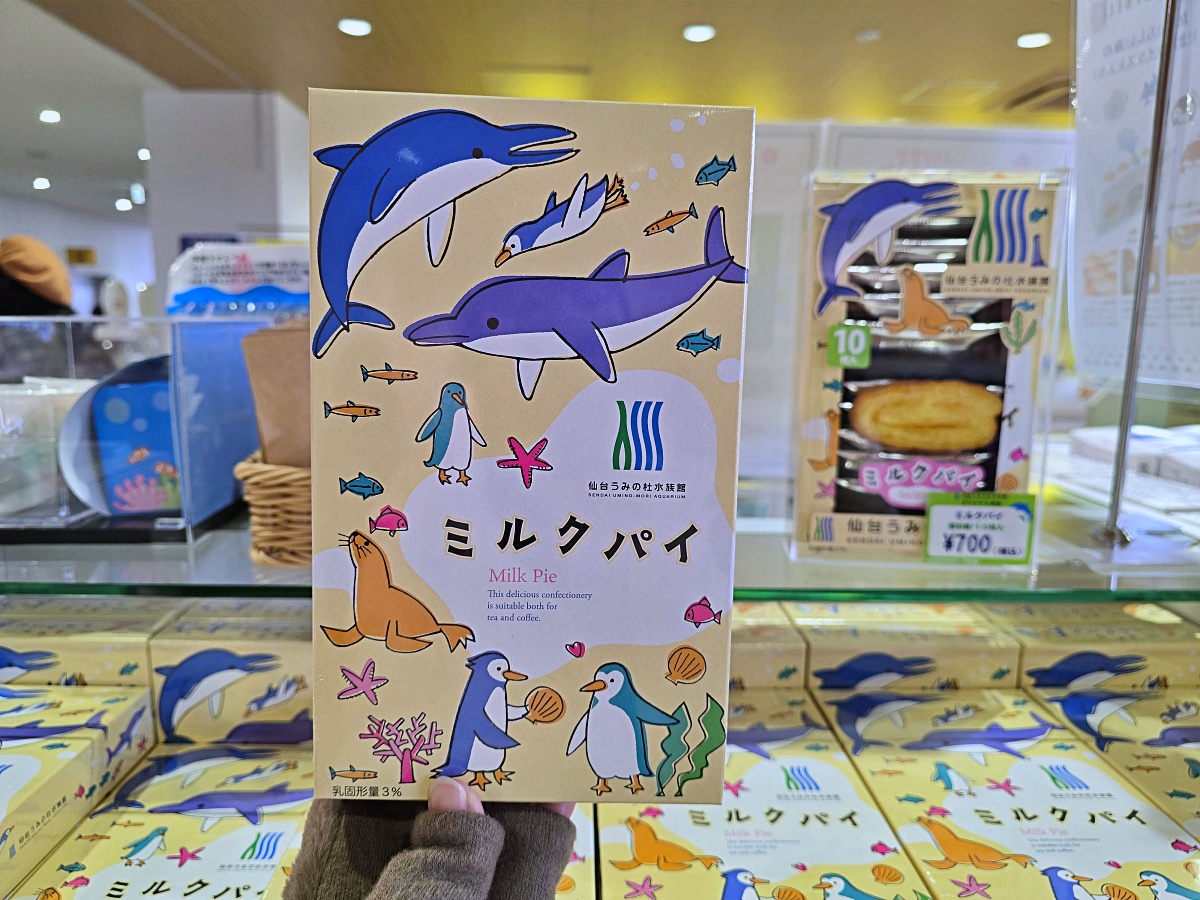 【仙台旅遊】仙台親子景點必去「仙台海洋之森水族館」東北最大水族世界的奇幻體驗