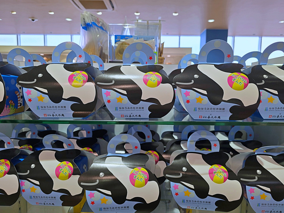 【仙台旅遊】仙台親子景點必去「仙台海洋之森水族館」東北最大水族世界的奇幻體驗