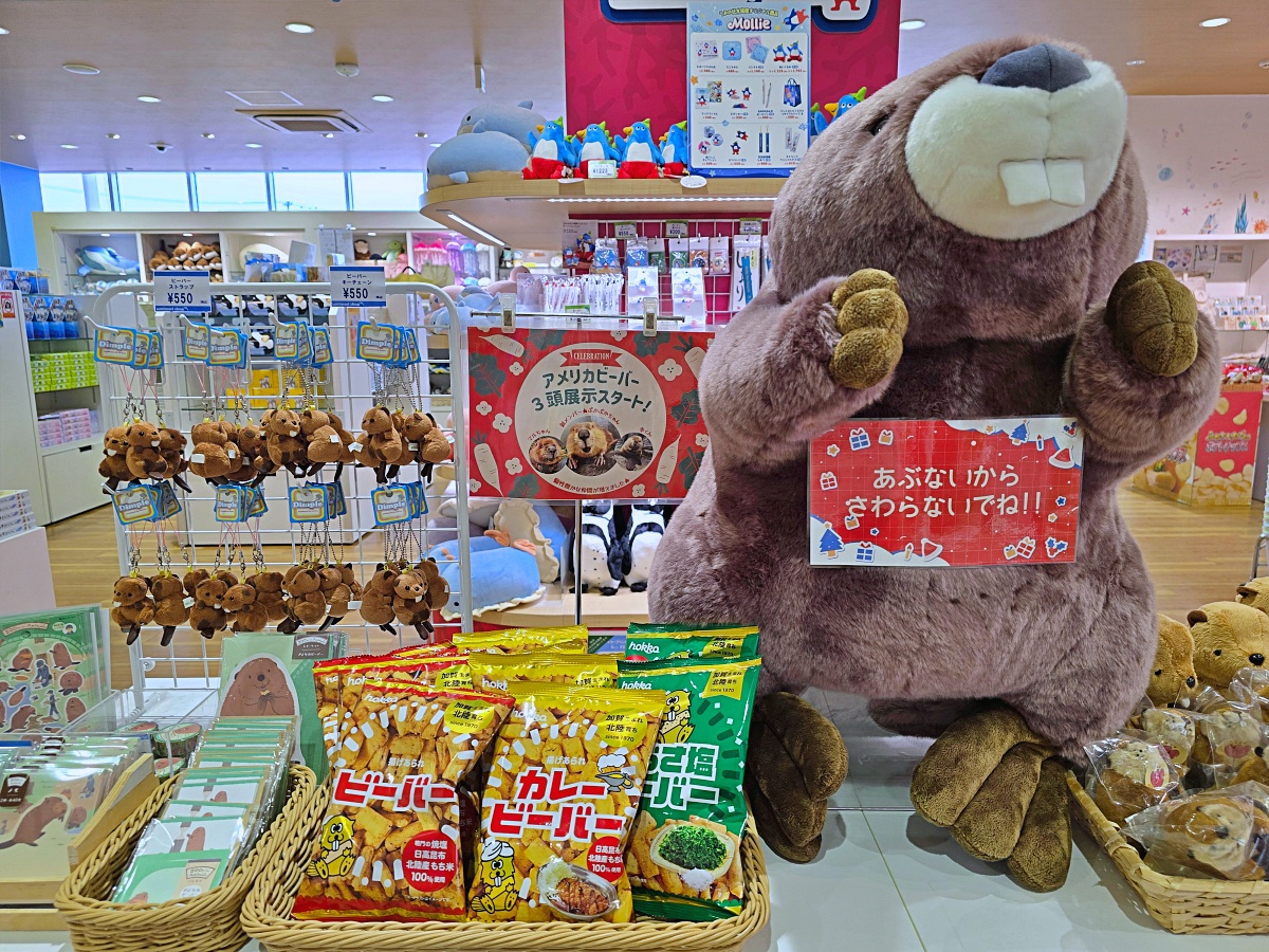 【仙台旅遊】仙台親子景點必去「仙台海洋之森水族館」東北最大水族世界的奇幻體驗