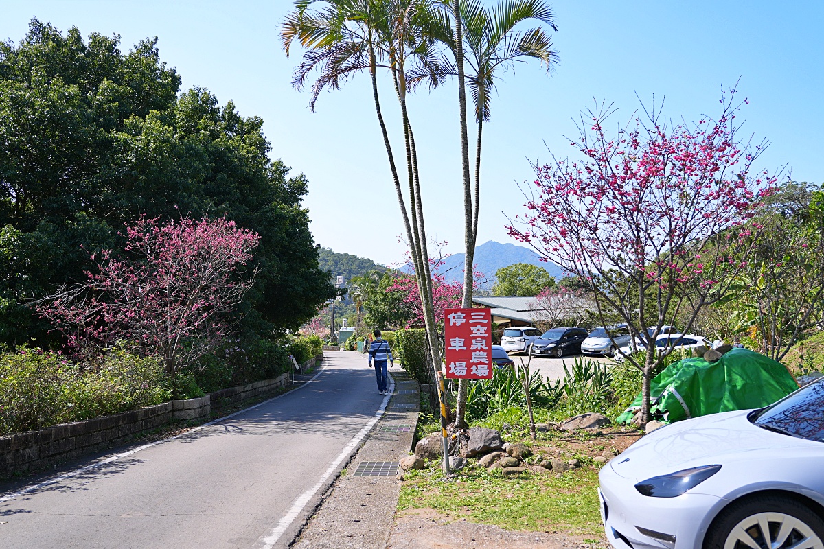 【淡水合菜推薦】三空泉農場：脆皮雞必點淡水人私藏森林系餐廳