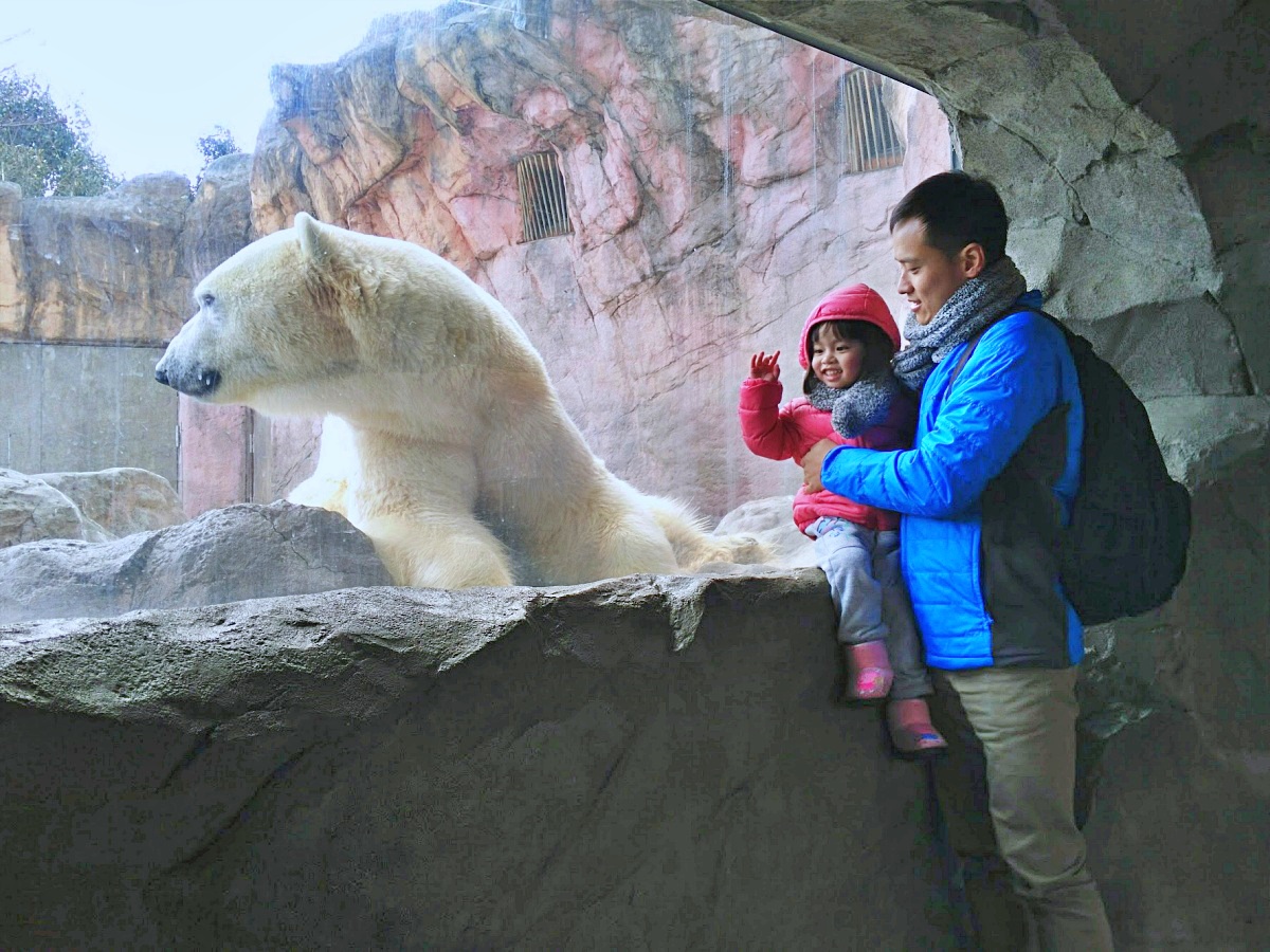 【仙台旅遊】八木山動物園仙台親子自由行必去城市裡最古老的動物園