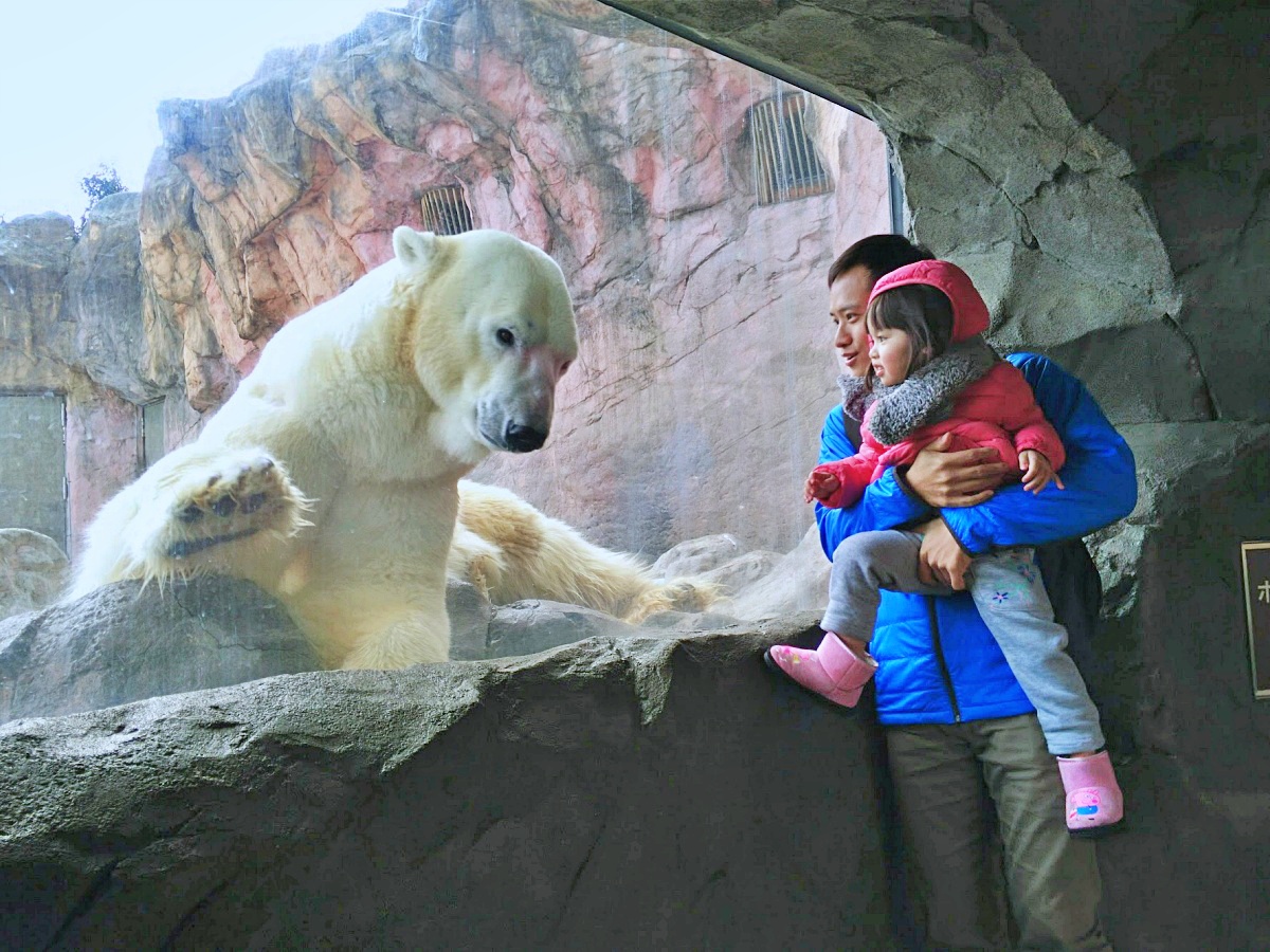 【仙台旅遊】八木山動物園仙台親子自由行必去城市裡最古老的動物園