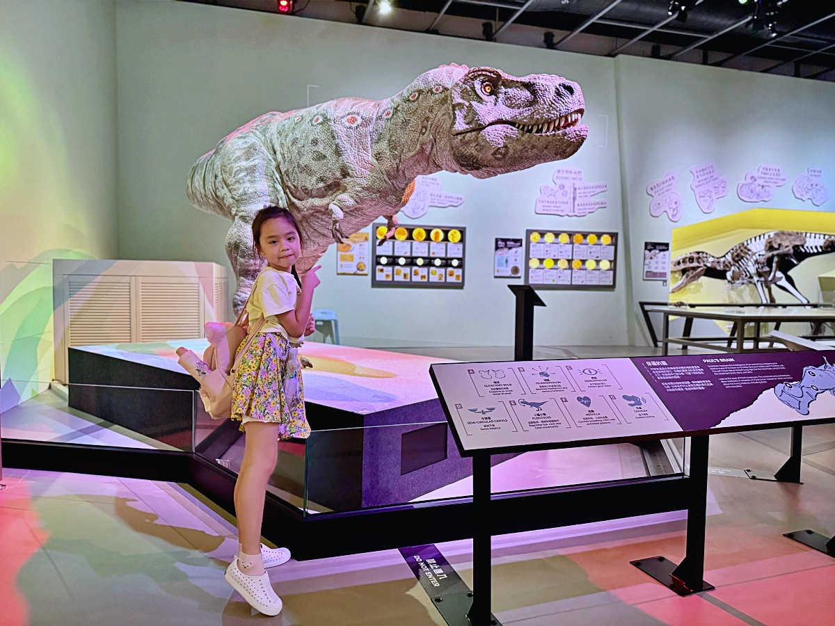 香港親子景點「香港科學館」親子共學天地互動遊戲超級嗨晴天雨天都適合（學生免門票）