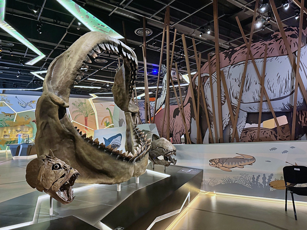 香港親子景點「香港科學館」親子共學天地互動遊戲超級嗨晴天雨天都適合（學生免門票）
