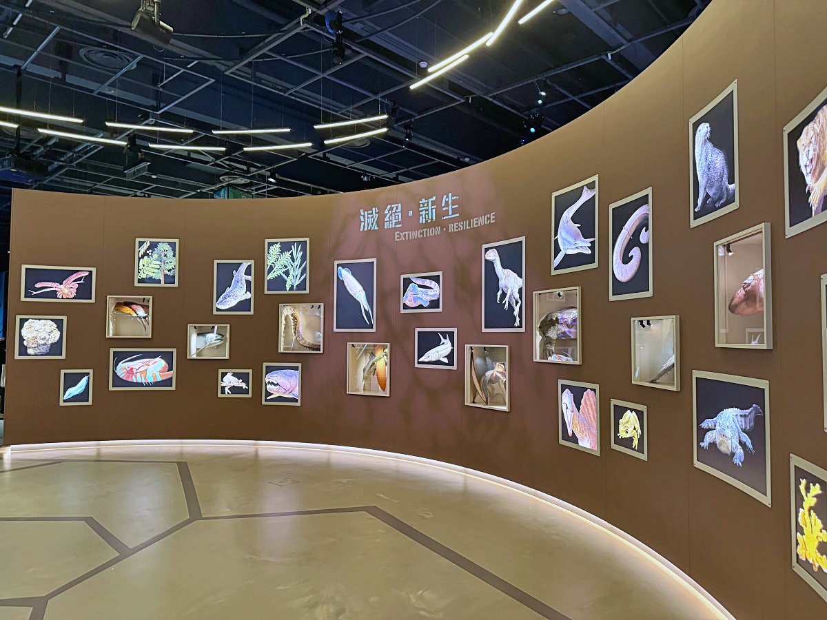 香港親子景點「香港科學館」親子共學天地互動遊戲超級嗨晴天雨天都適合（學生免門票）