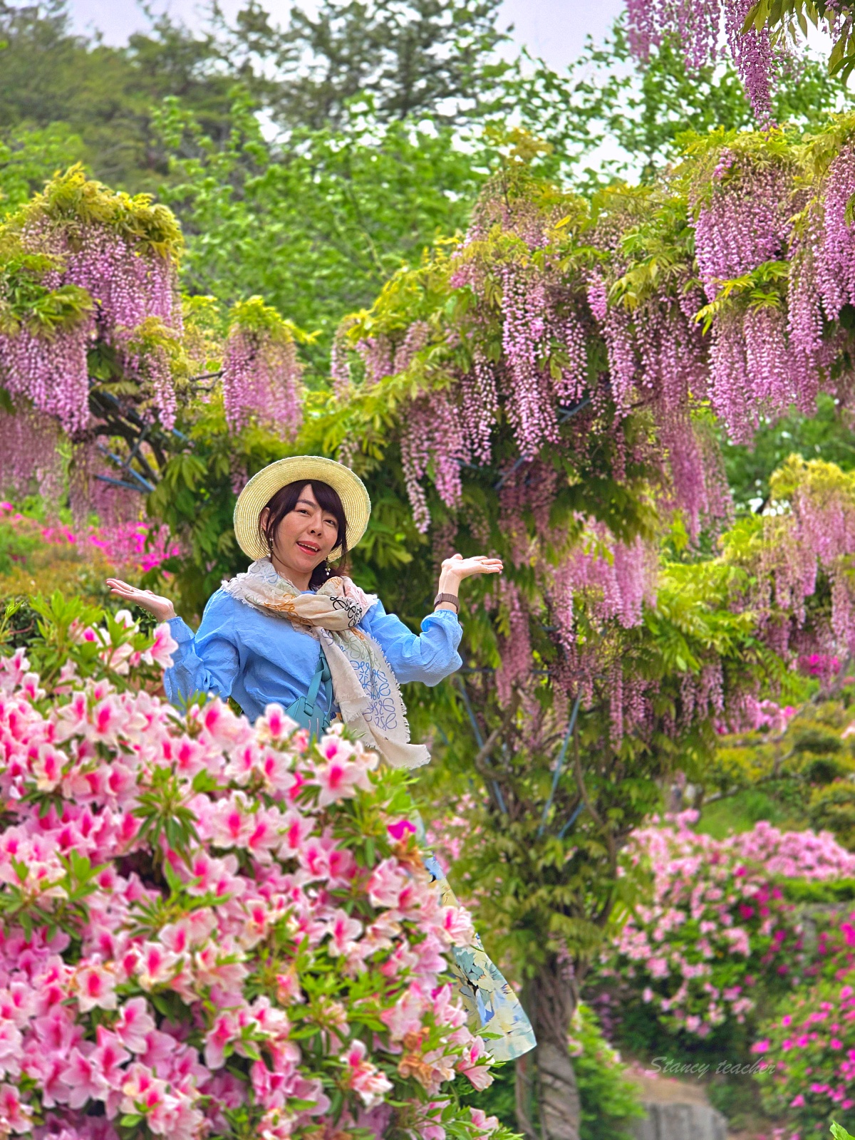 廣島自駕租車六天五夜懶人包:TOCOO!預約華航直飛,輕鬆玩遍世羅花田廣島好市多血拼 廣島自駕租車六天五夜懶人包:TOCOO!預約華航直飛,輕鬆玩遍世羅花田廣島好市多血拼