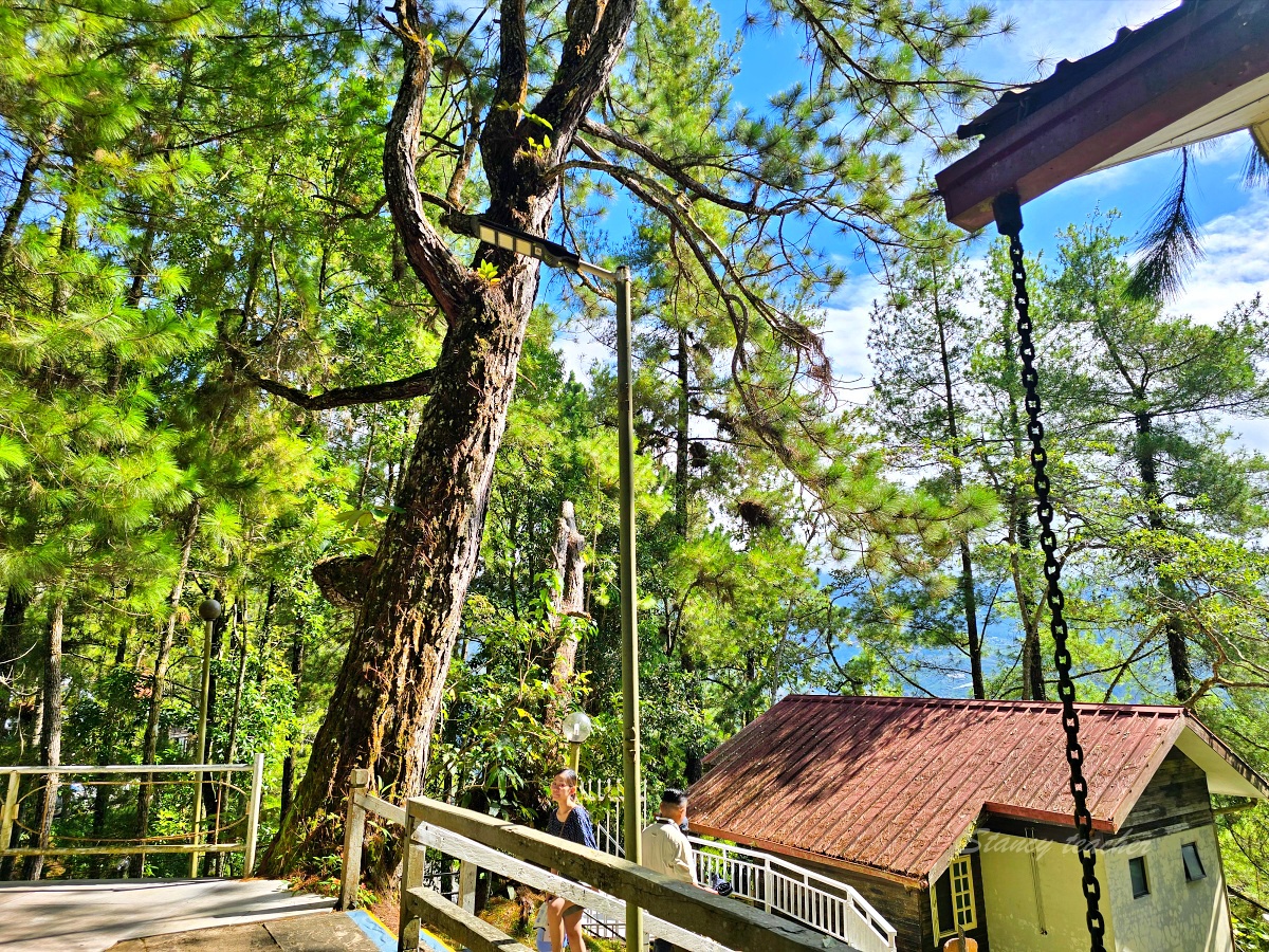 沙巴神山住宿推薦：基納巴盧山佩卡薩飯店 Perkasa Hotel Mt Kinabalu療癒森林系旅宿