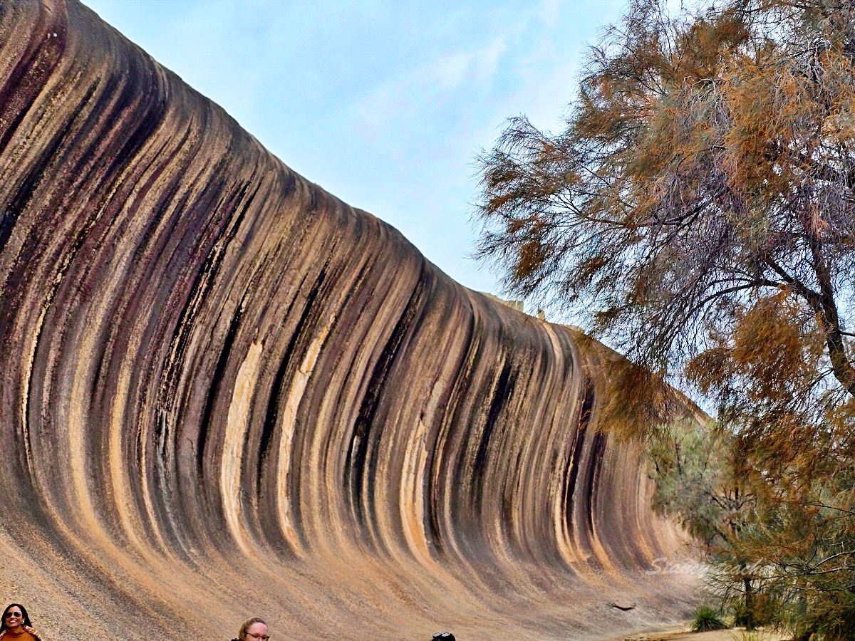 西澳波浪岩 Wave Rock 一日遊｜珀斯出發、約克小鎮、原民洞穴與親子行程取捨