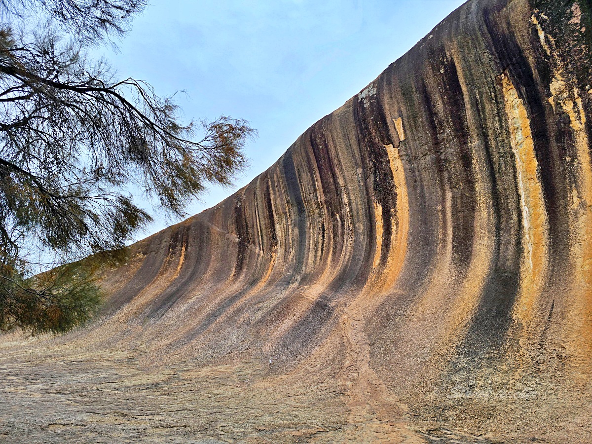 西澳波浪岩 Wave Rock 一日遊｜珀斯出發、約克小鎮、原民洞穴與親子行程取捨