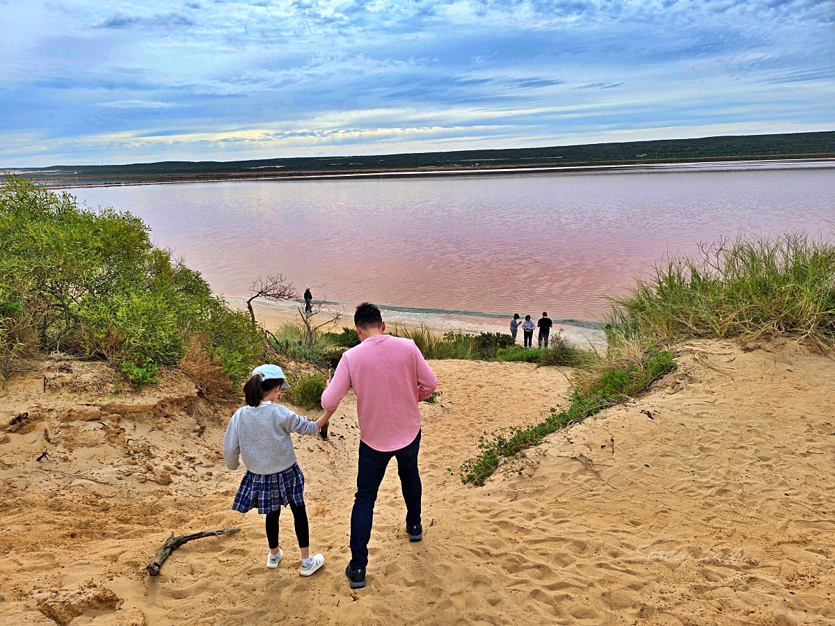 西澳粉紅湖 Hutt Lagoon 攻略｜月份顏色、珀斯自駕路線、拍照點與親子提醒