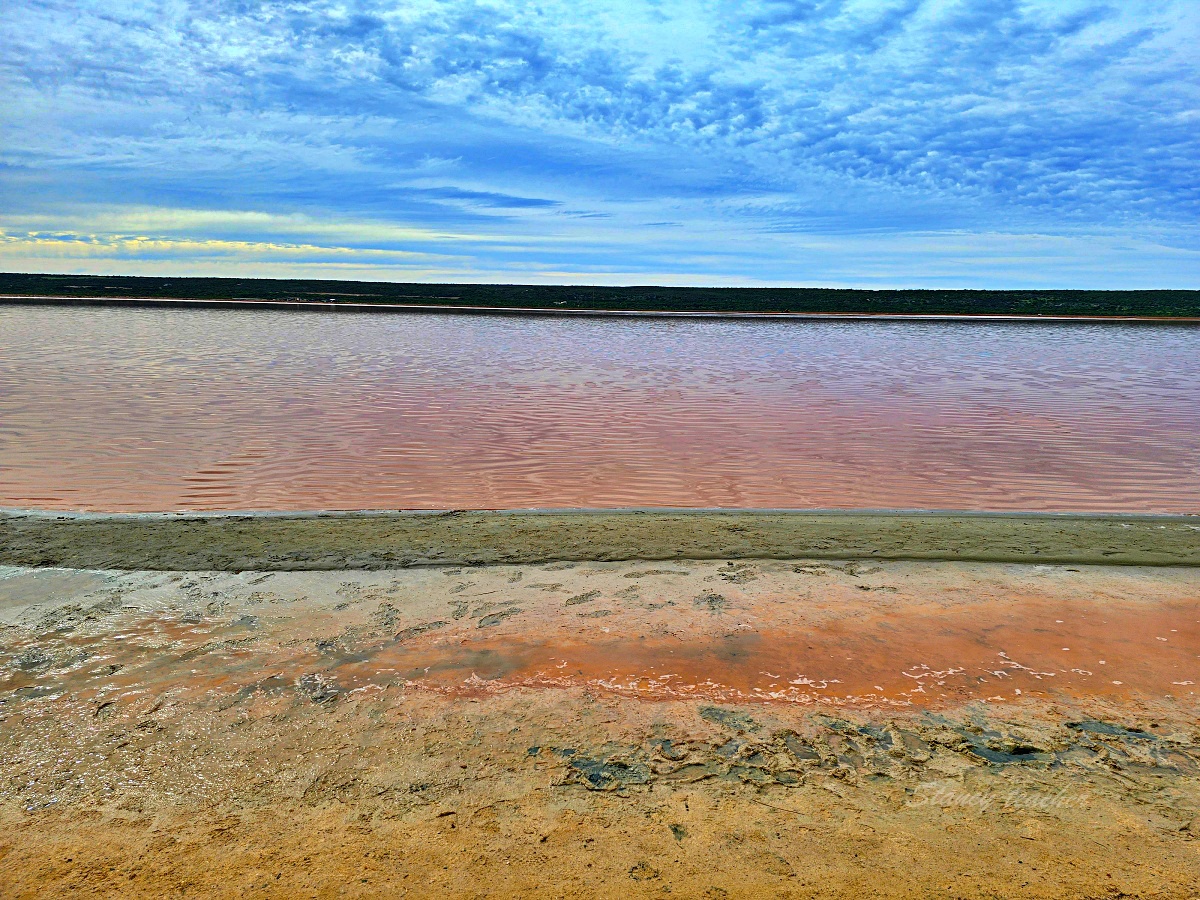 西澳粉紅湖 Hutt Lagoon 攻略｜月份顏色、珀斯自駕路線、拍照點與親子提醒