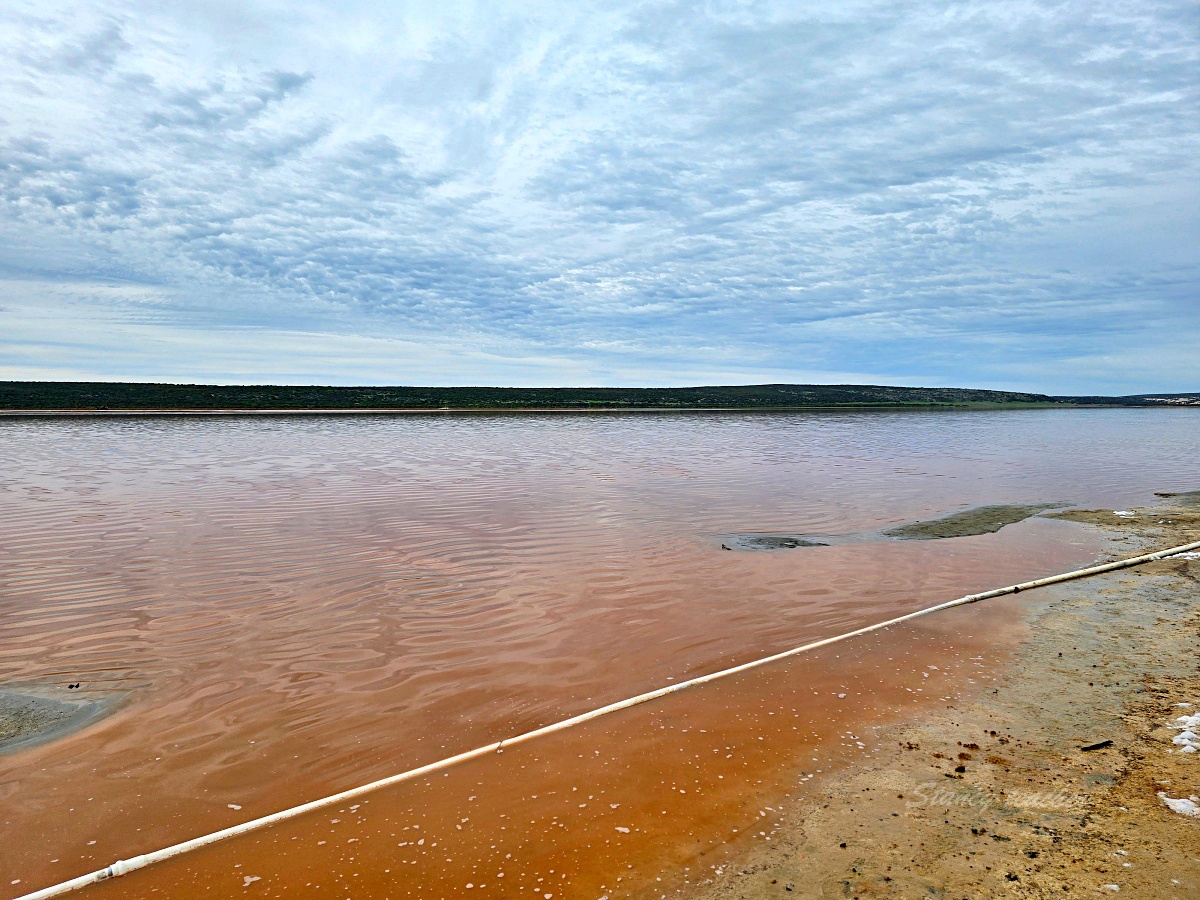 西澳粉紅湖 Hutt Lagoon 攻略｜月份顏色、珀斯自駕路線、拍照點與親子提醒