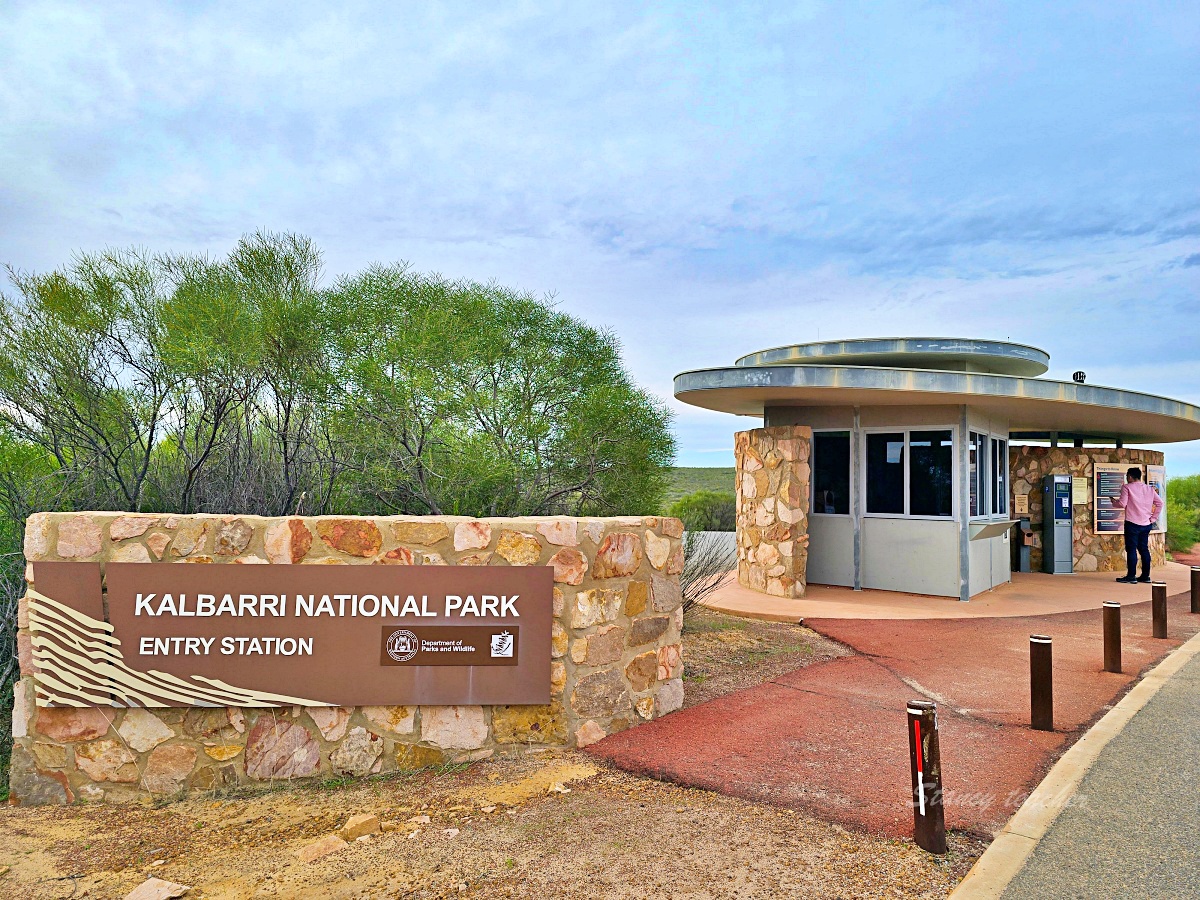Kalbarri 卡巴里國家公園親子自駕｜Skywalk、天空之窗、門票與西澳北線住宿安排