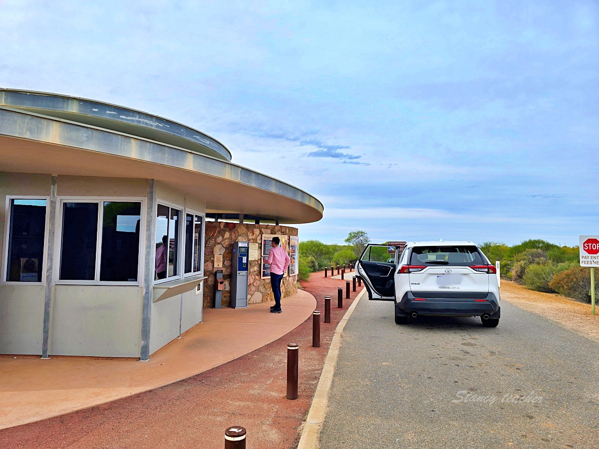 Kalbarri 卡巴里國家公園親子自駕｜Skywalk、天空之窗、門票與西澳北線住宿安排