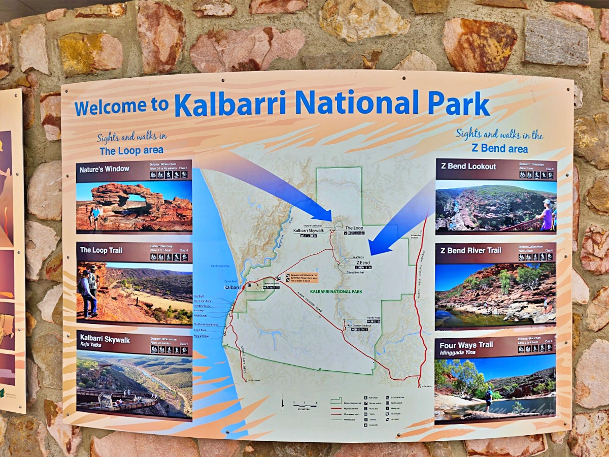 Kalbarri 國家公園紅土峽谷與親子自駕景點