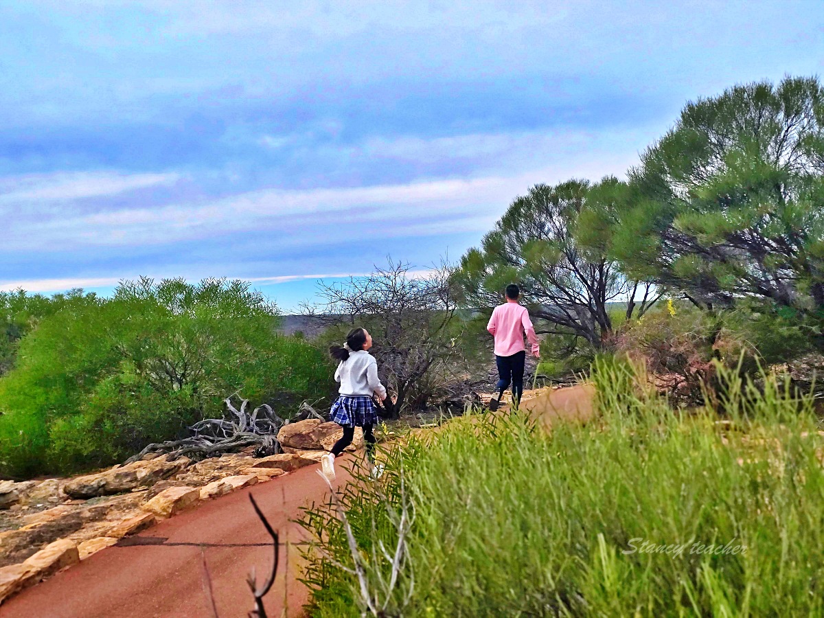 Kalbarri 卡巴里國家公園親子自駕｜Skywalk、天空之窗、門票與西澳北線住宿安排