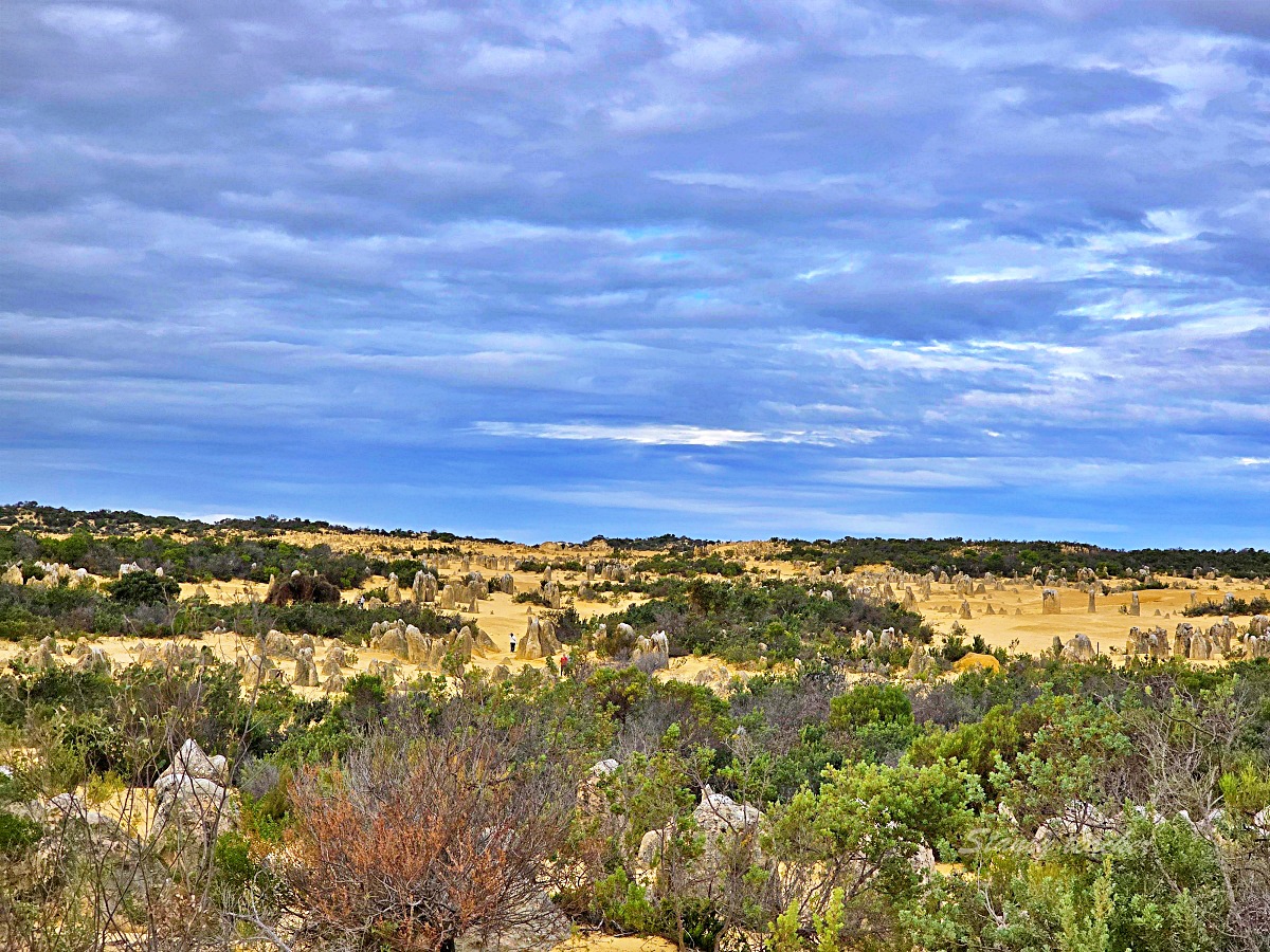 尖峰石陣 Pinnacles Desert 攻略｜珀斯自駕、門票開放時間、觀星與親子一日遊