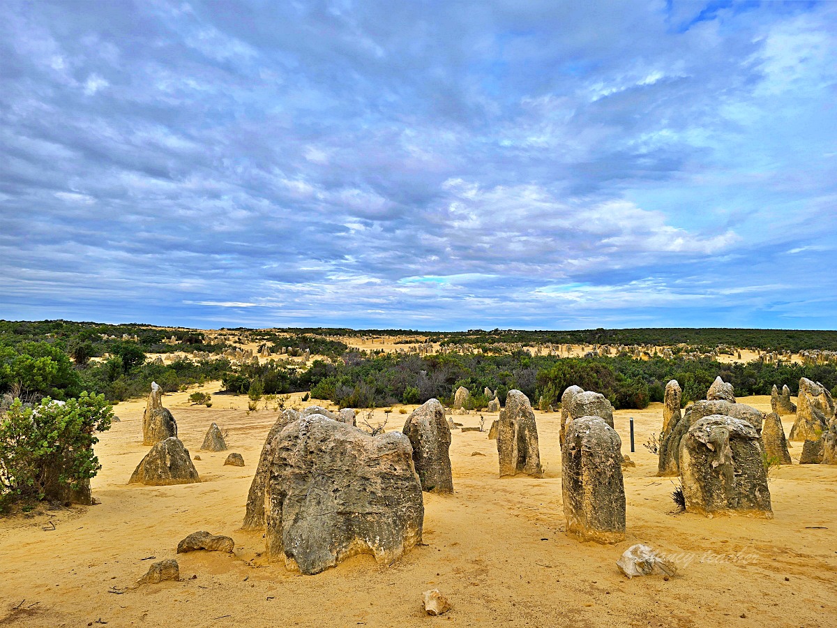 尖峰石陣 Pinnacles Desert 攻略｜珀斯自駕、門票開放時間、觀星與親子一日遊