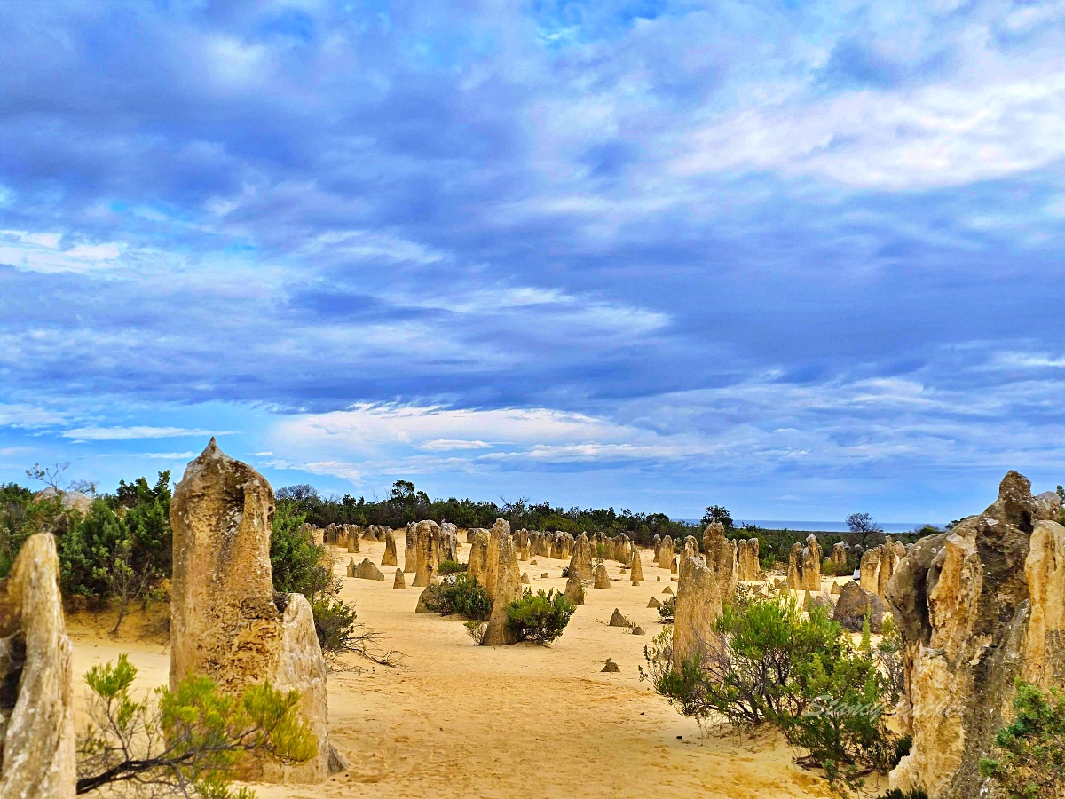 尖峰石陣 Pinnacles Desert 攻略｜珀斯自駕、門票開放時間、觀星與親子一日遊