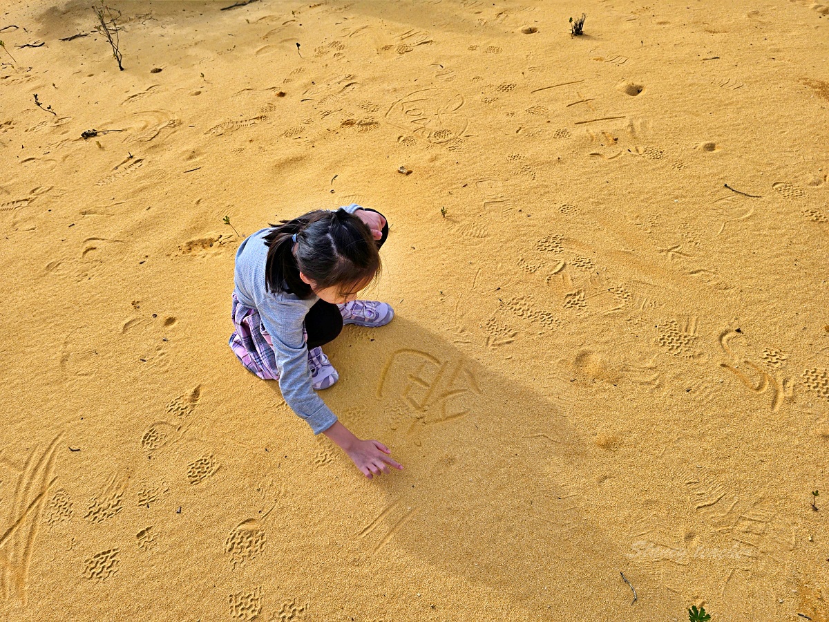 尖峰石陣 Pinnacles Desert 攻略｜珀斯自駕、門票開放時間、觀星與親子一日遊
