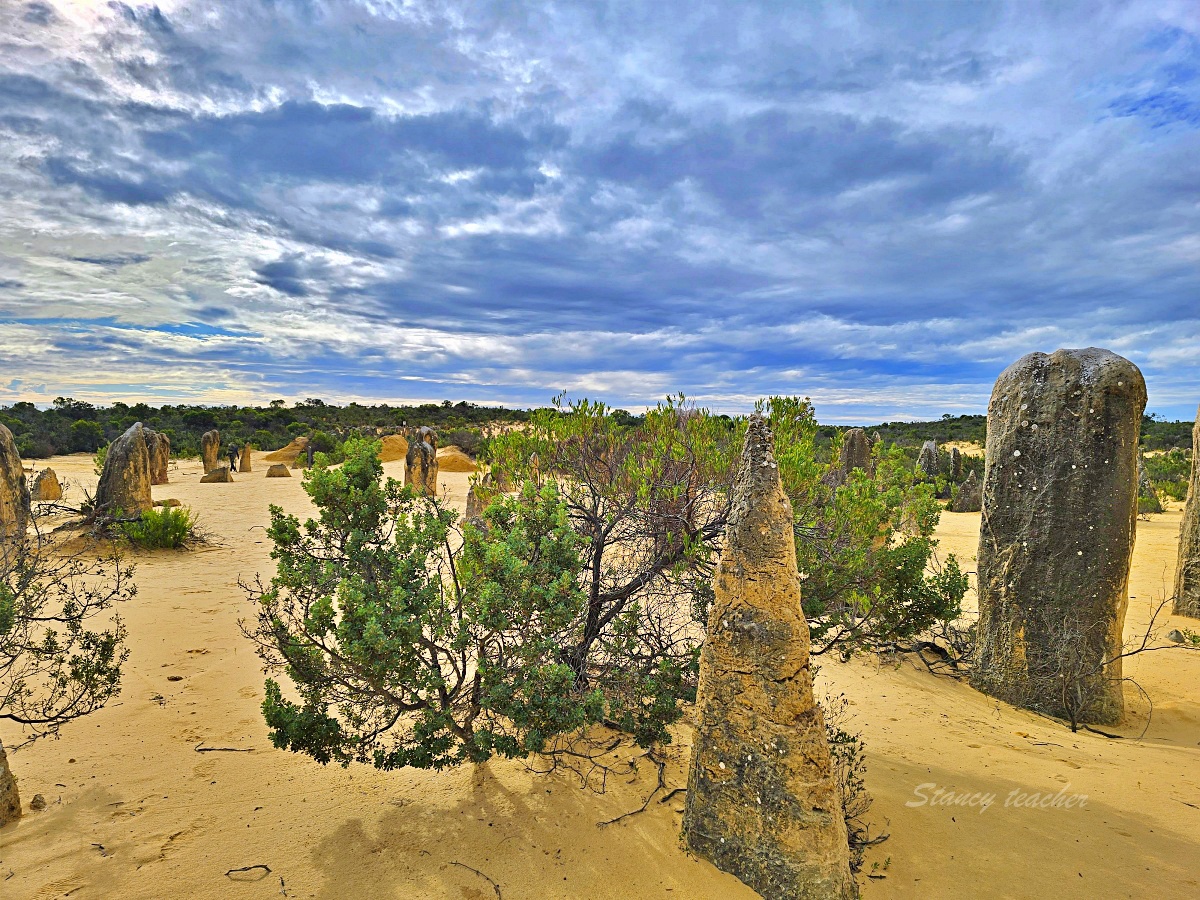 尖峰石陣 Pinnacles Desert 攻略|珀斯自駕、門票開放時間、觀星與親子一日遊 尖峰石陣 Pinnacles Desert 攻略|珀斯自駕、門票開放時間、觀星與親子一日遊