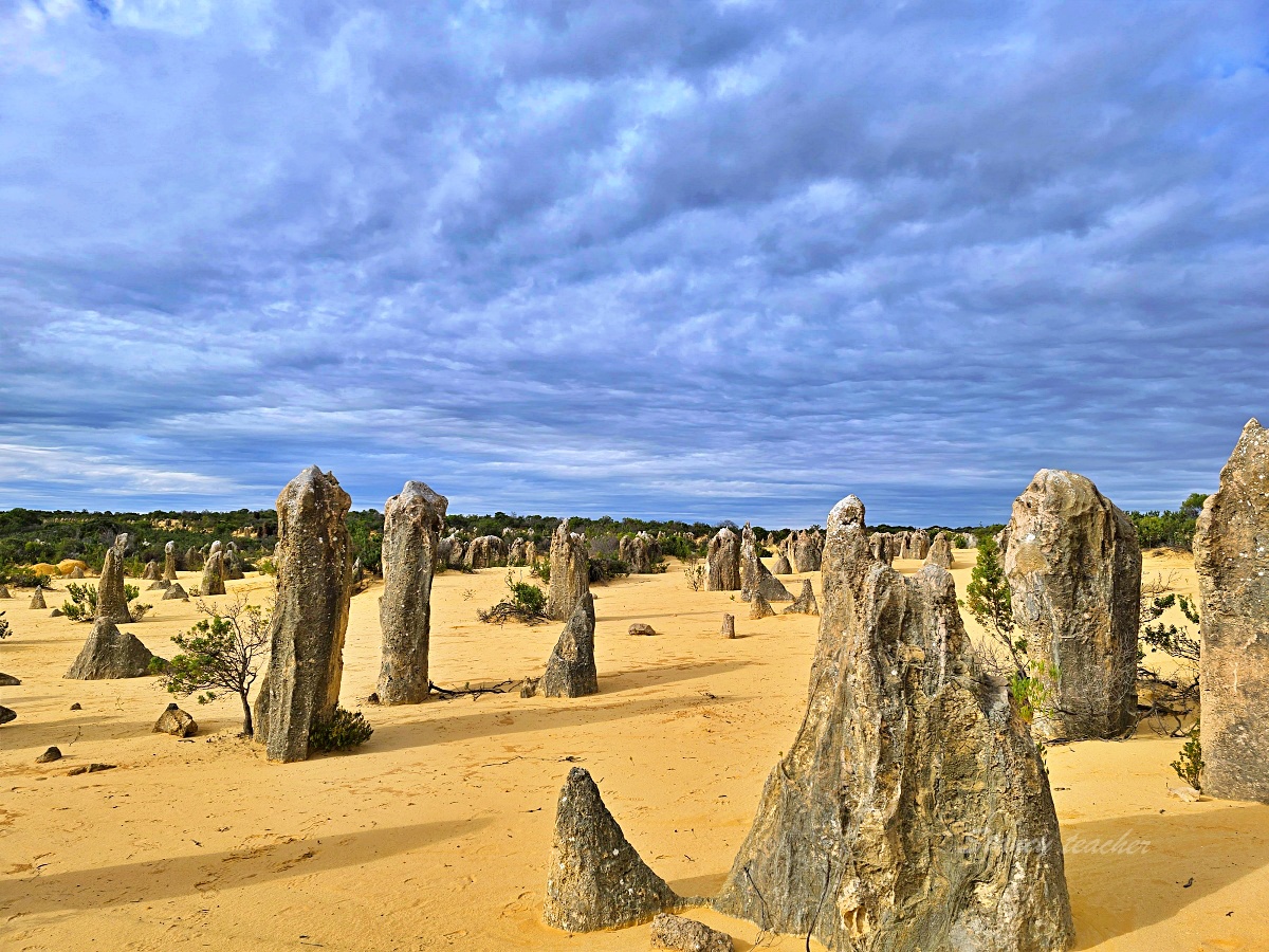 尖峰石陣 Pinnacles Desert 攻略｜珀斯自駕、門票開放時間、觀星與親子一日遊