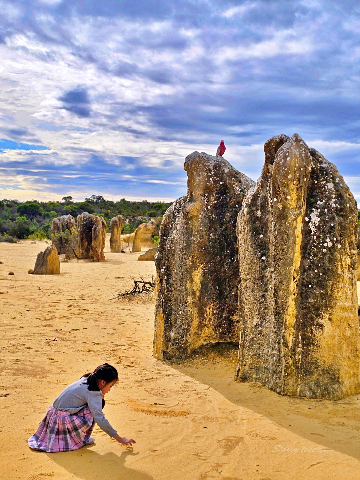 尖峰石陣 Pinnacles Desert 攻略｜珀斯自駕、門票開放時間、觀星與親子一日遊