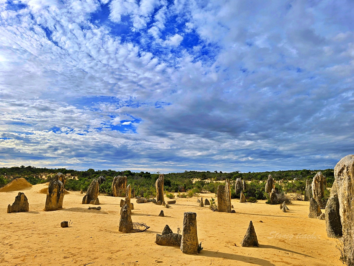 尖峰石陣 Pinnacles Desert 攻略｜珀斯自駕、門票開放時間、觀星與親子一日遊