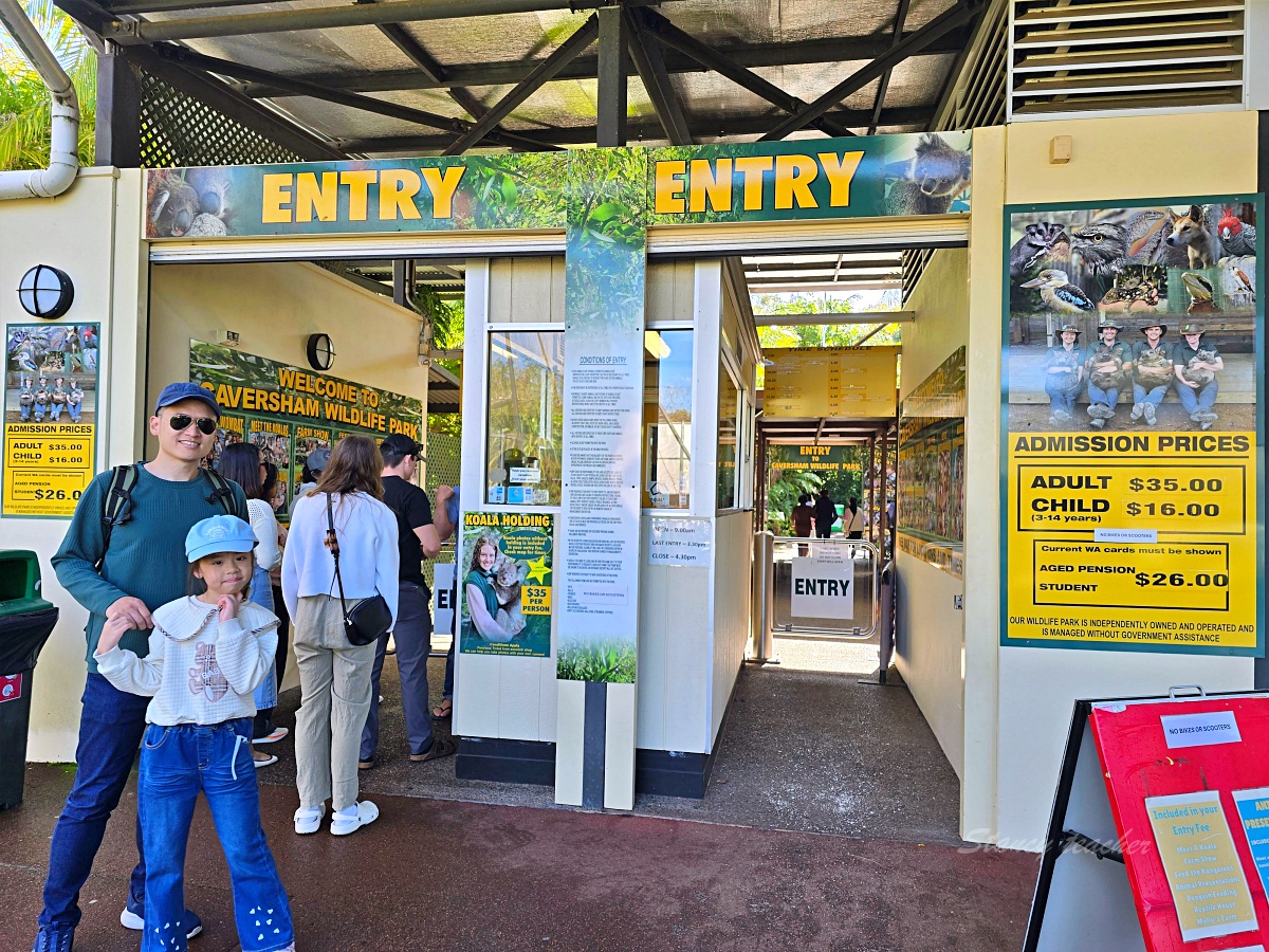 Caversham Wildlife Park 凱維森野生動物園｜珀斯近郊親子看袋鼠、無尾熊與農場秀