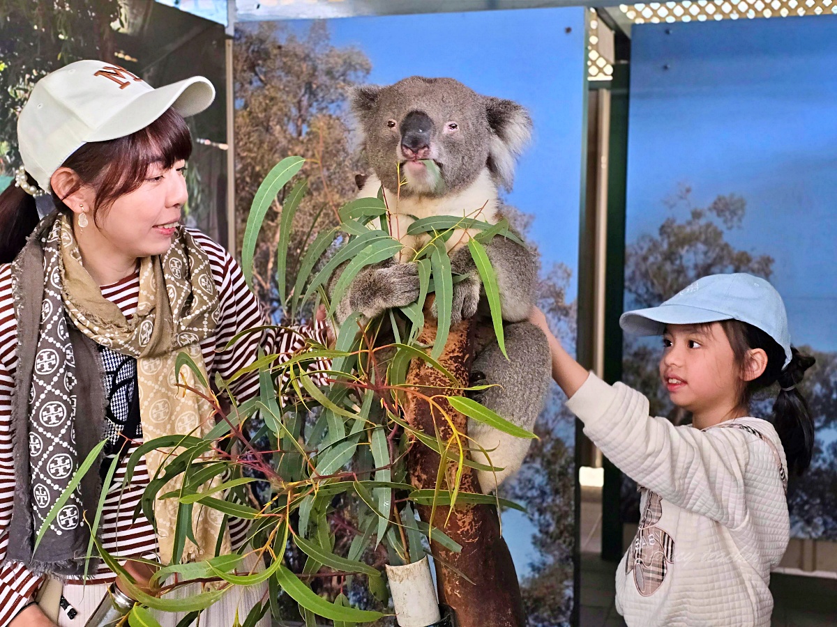 Caversham Wildlife Park 適合排在西澳北線前後的親子近郊景點