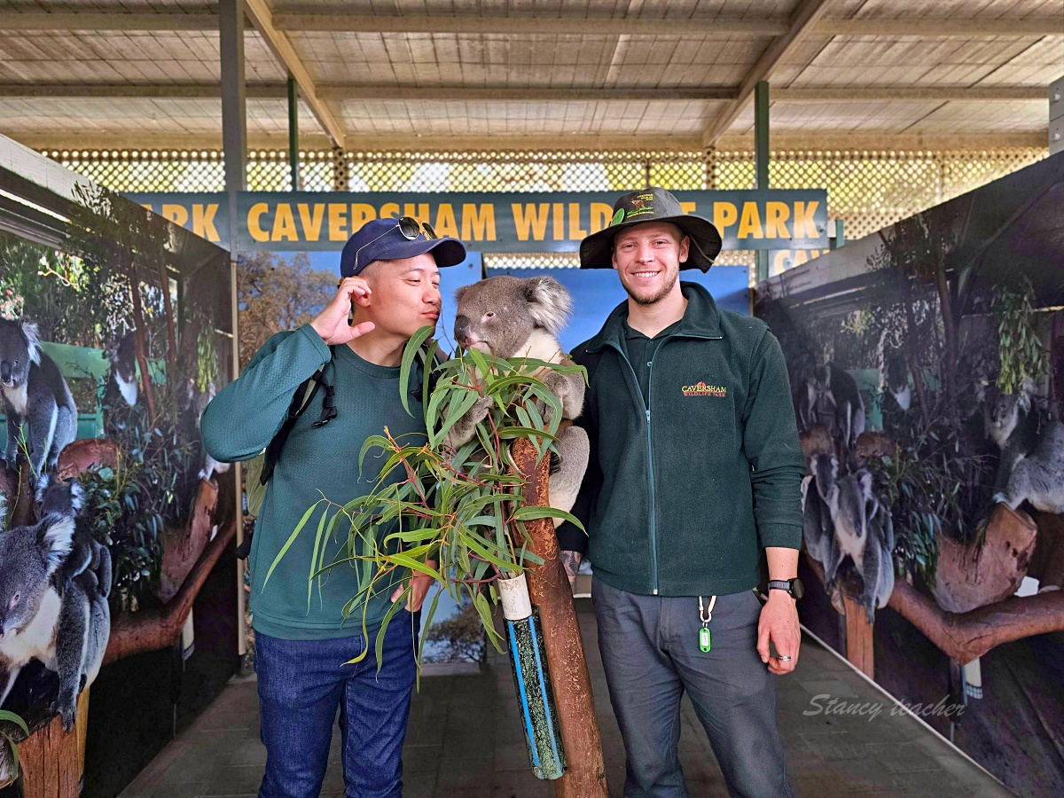 Caversham Wildlife Park 凱維森野生動物園｜珀斯近郊親子看袋鼠、無尾熊與農場秀