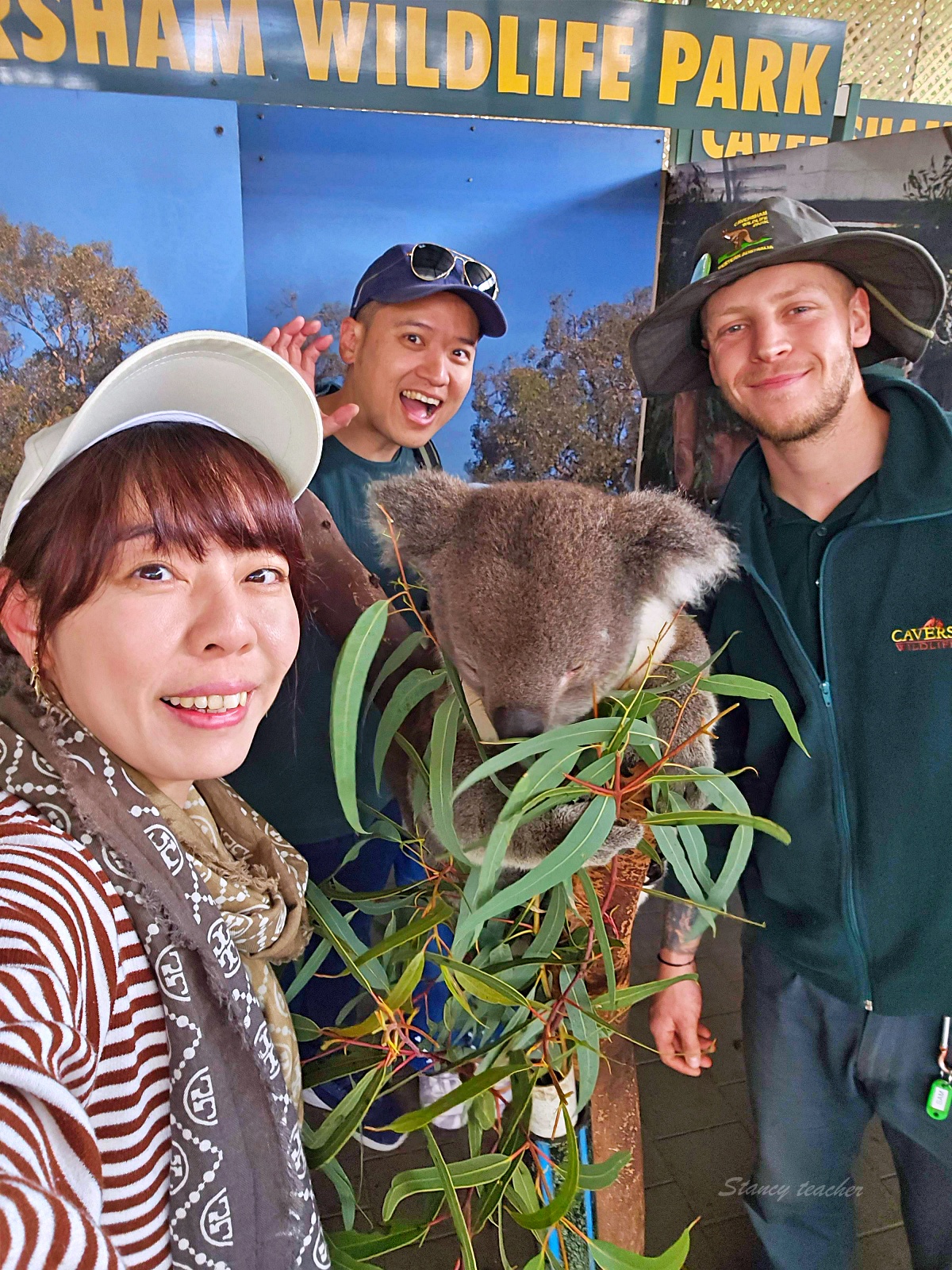 Caversham Wildlife Park 凱維森野生動物園｜珀斯近郊親子看袋鼠、無尾熊與農場秀