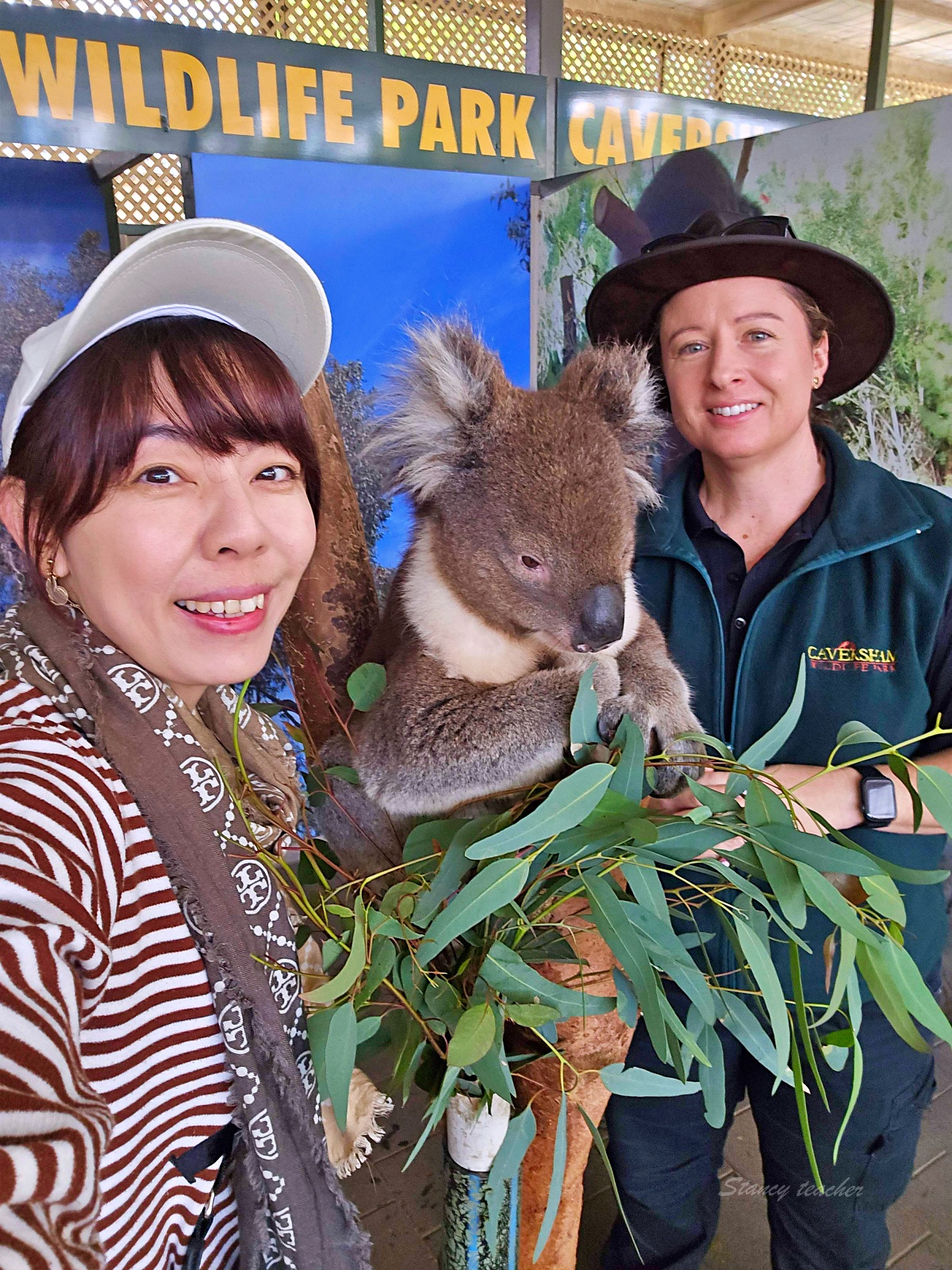Caversham Wildlife Park 凱維森野生動物園｜珀斯近郊親子看袋鼠、無尾熊與農場秀