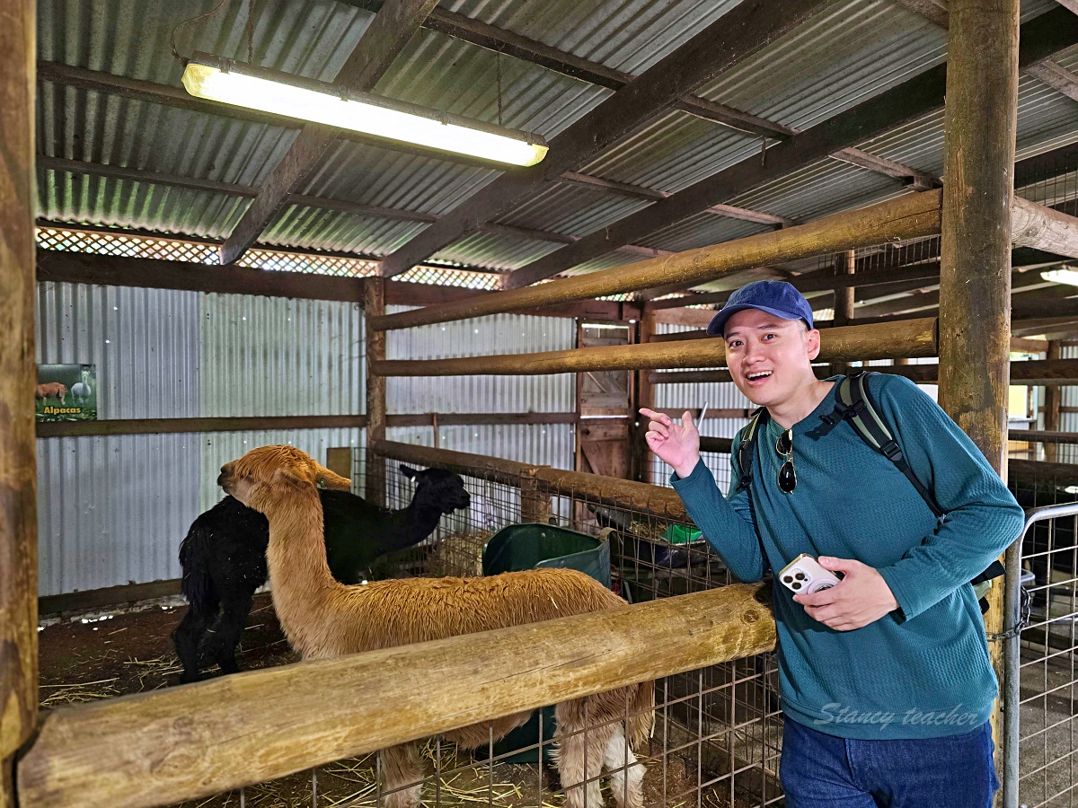 Caversham Wildlife Park 凱維森野生動物園｜珀斯近郊親子看袋鼠、無尾熊與農場秀